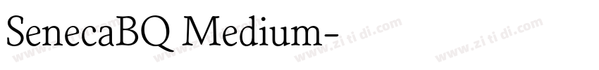 SenecaBQ Medium字体转换